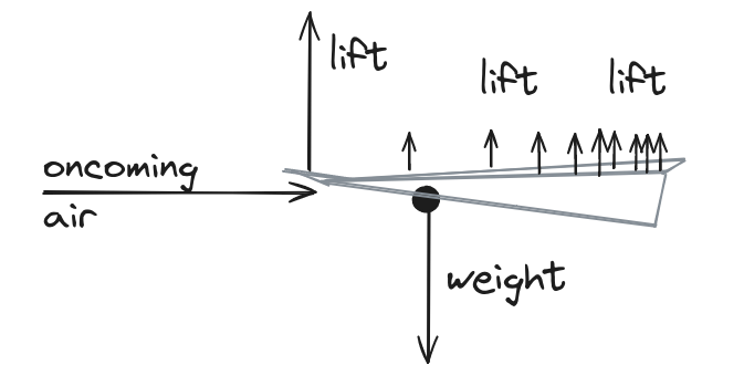 Paper plane from the side with arrows protruding from the wings indicating lift, with longer arrows from the canards.